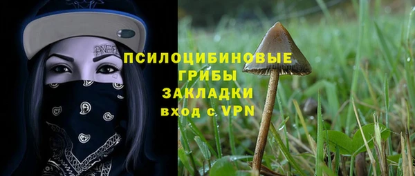 дмт Арсеньев