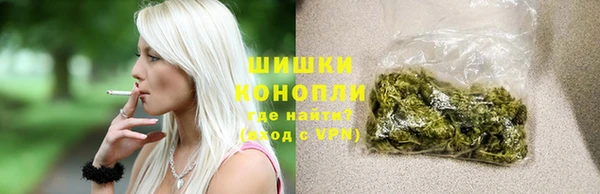 дмт Арсеньев