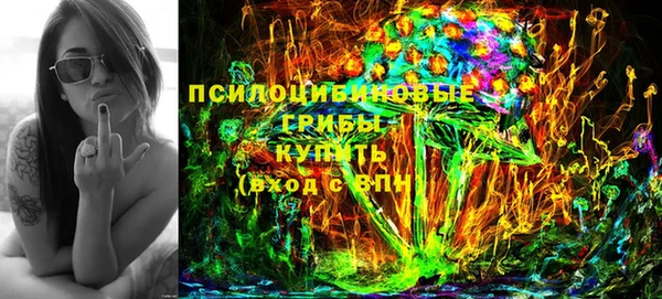 дживик Аркадак