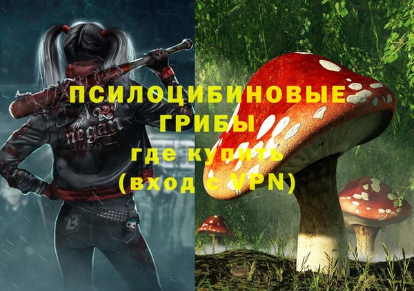 дмт Арсеньев
