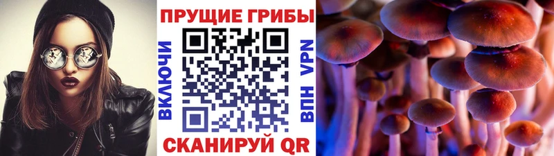 Псилоцибиновые грибы MAGIC MUSHROOMS  даркнет телеграм  Цимлянск  hydra tor 